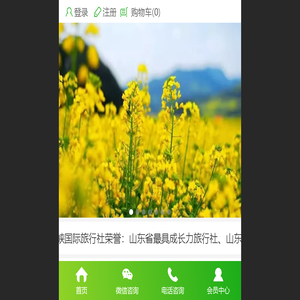 泰安市海峡国际旅行社有限公司
